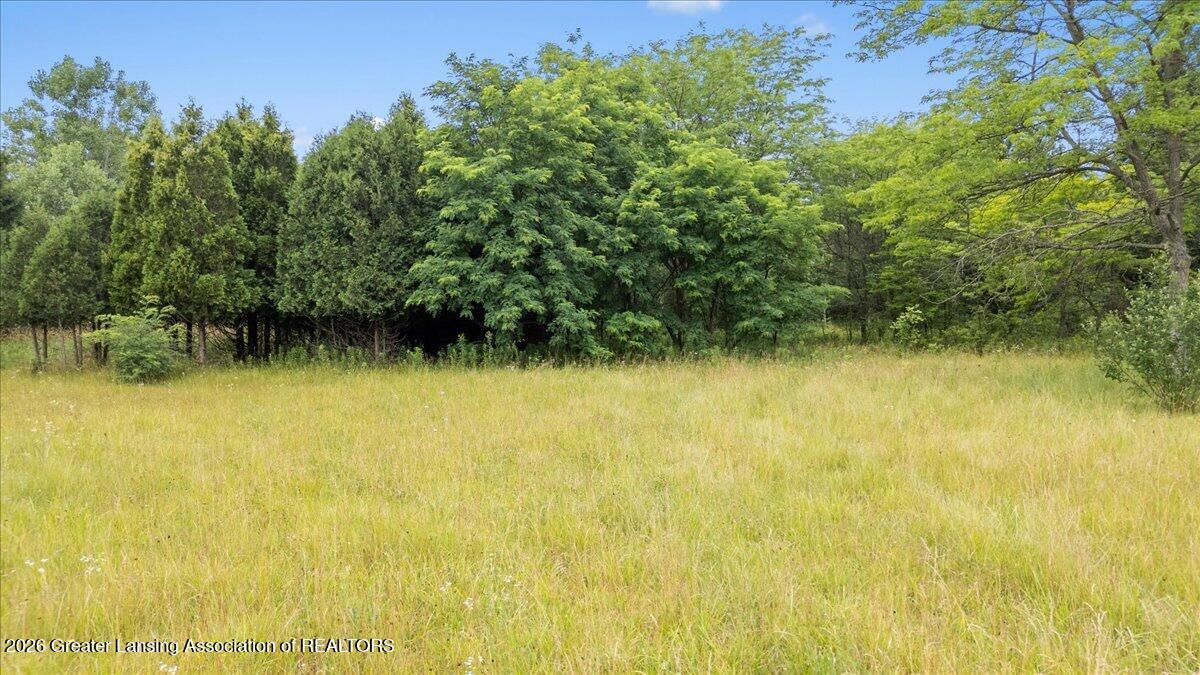 0 North Hartel Road Potterville, MI 48876 - Photo 12 of 19 10-Media Jett - 09