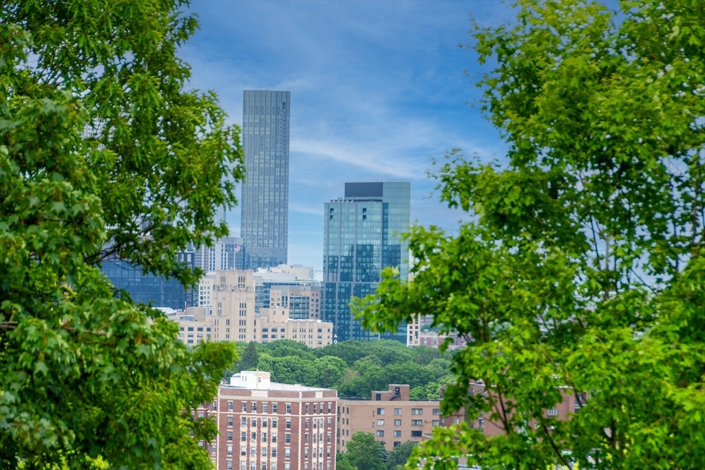 81 Summit Avenue Brookline, MA 02446 - Photo 37 of 37