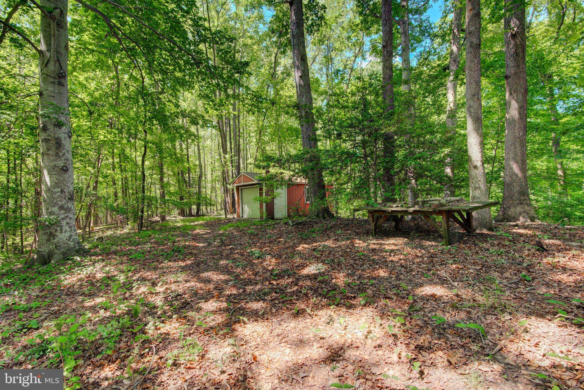 6144 St Pauls Road King George, VA 22485 - Photo 6 of 39