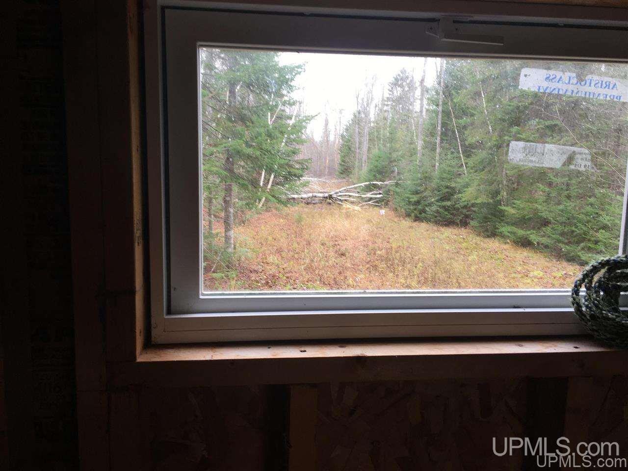 40-acres Off Cadeau Road Baraga, MI 49908 - Photo 12 of 19