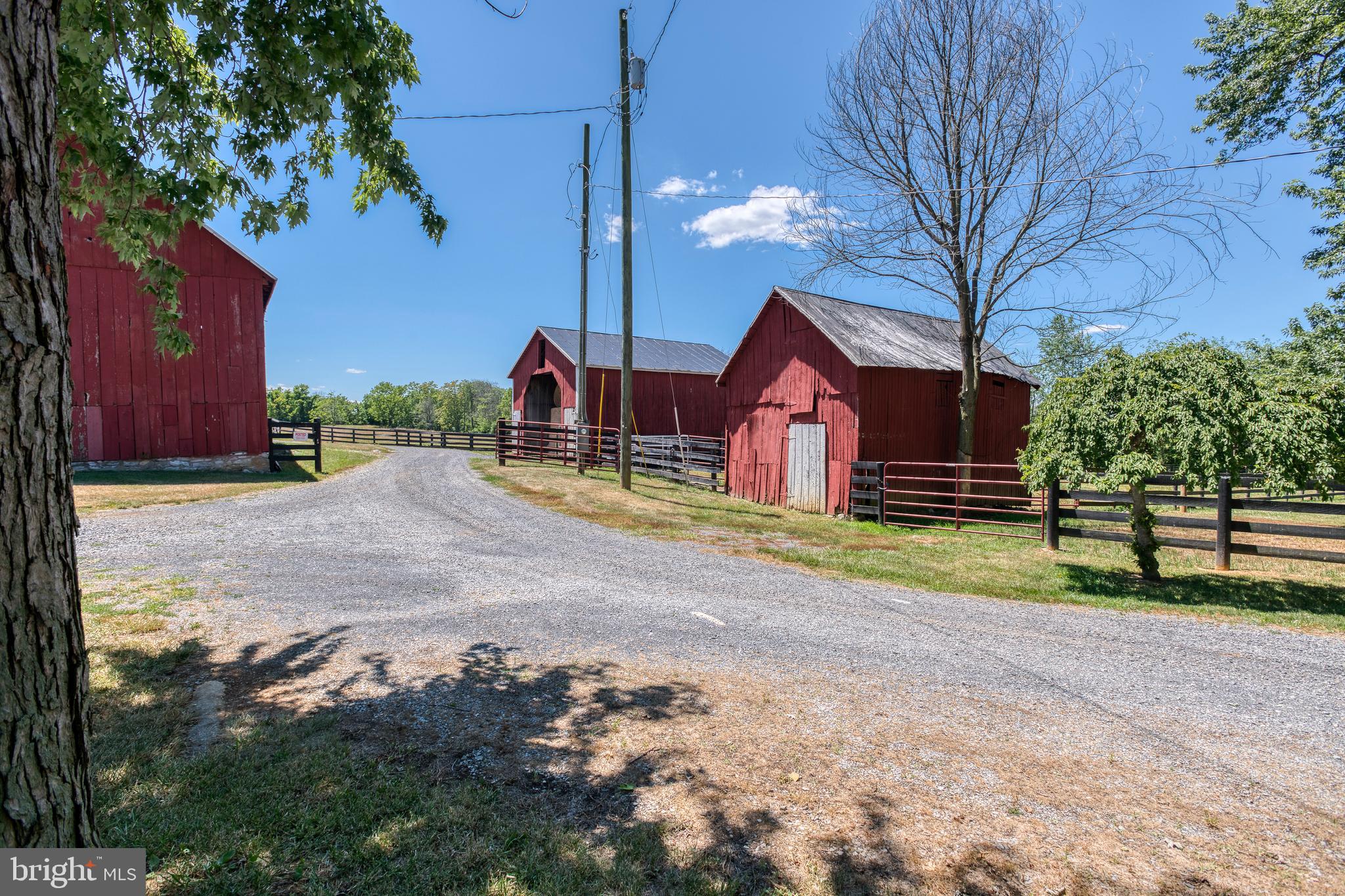 517 Longmarsh Road Berryville, VA 22611 - Photo 48 of 60 Gallery Image 48