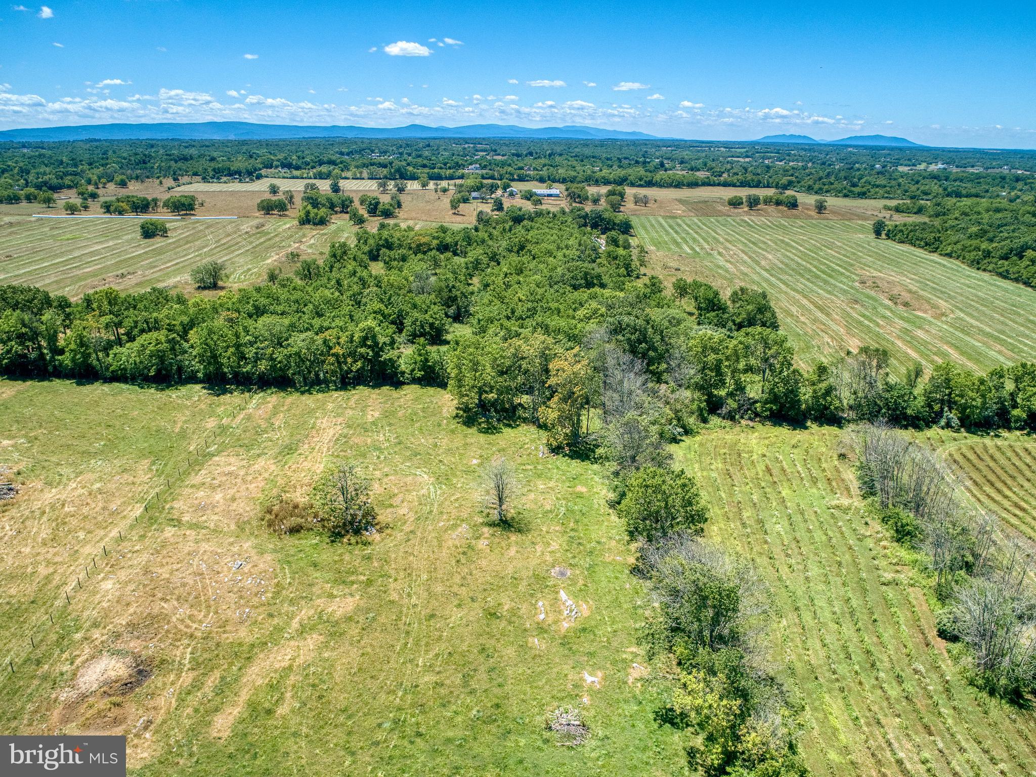 517 Longmarsh Road Berryville, VA 22611 - Photo 8 of 60 Gallery Image 8
