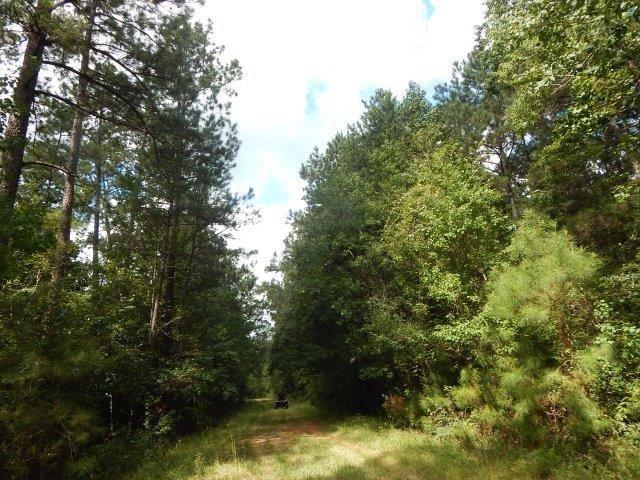 0 Reeves Road Franklinton, LA 70438 - Photo 23 of 38 Gallery Image 23