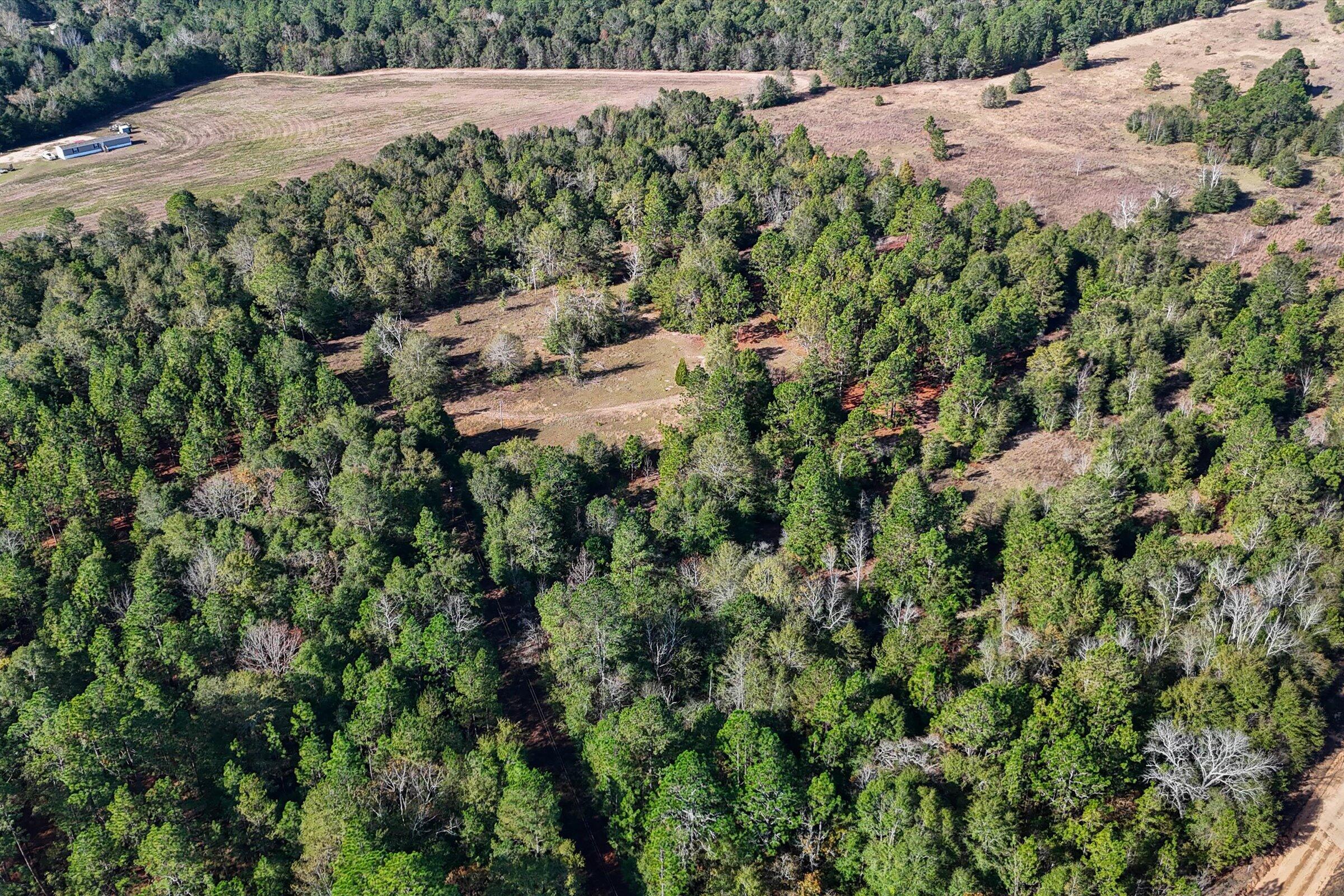 244 Woodfield Road Aiken, SC 29803 - Photo 2 of 17
