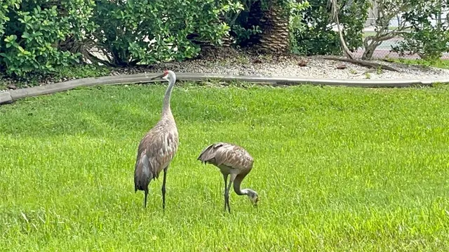 $224,000 | 11644 Southwest Egret Circle, Unit 905, Lake Suzy, FL 34269