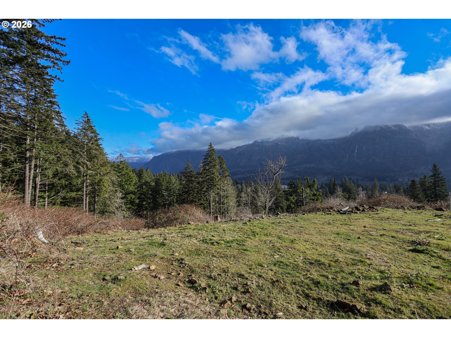 562 Woodard Creek Road Stevenson, WA 98648 - Photo 32 of 33