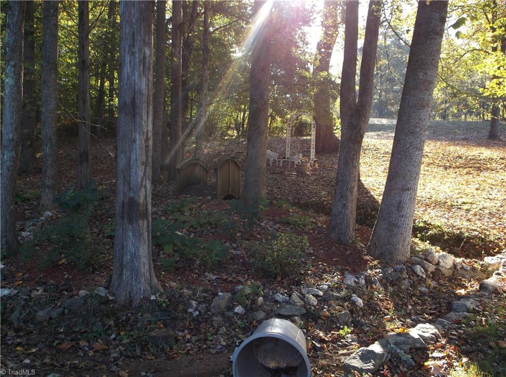 5908 Snyder Country Road Trinity, NC 27370 - Photo 3 of 16 Gallery Image 3