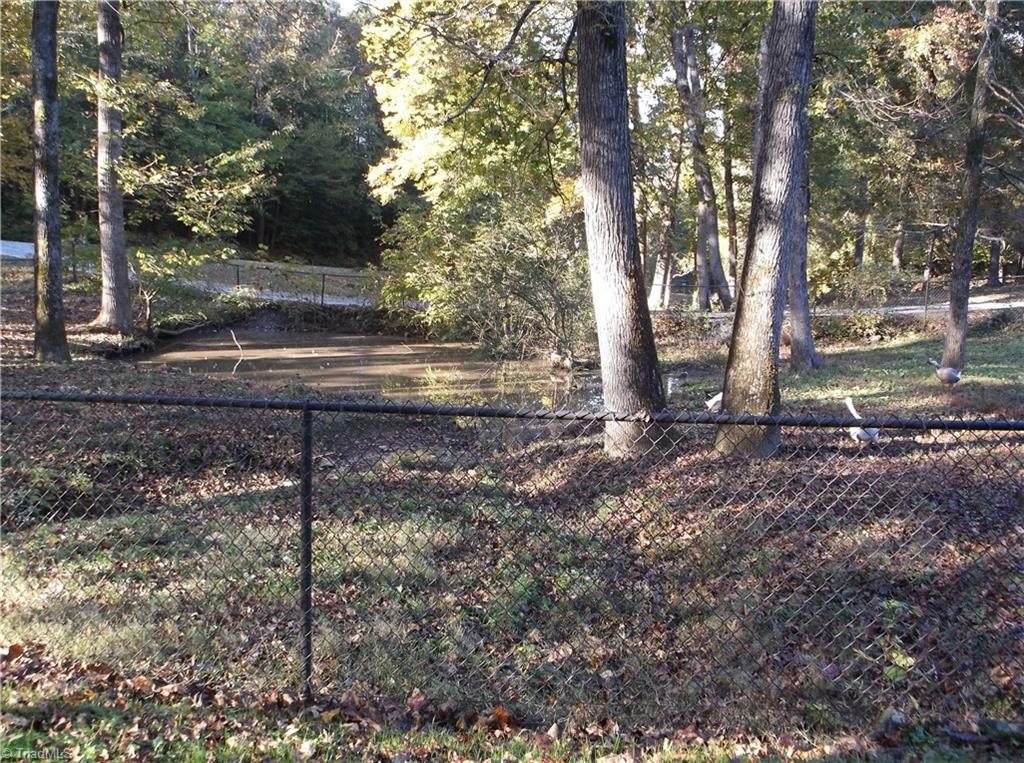 5908 Snyder Country Road Trinity, NC 27370 - Photo 4 of 16 Gallery Image 4