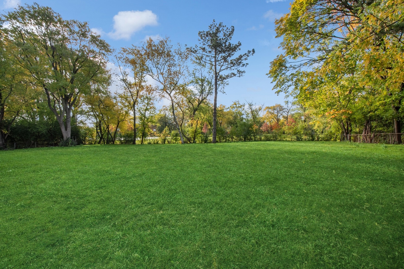 3131 Willow Road Northbrook, IL 60062 - Photo 22 of 23 a view of yard with trees