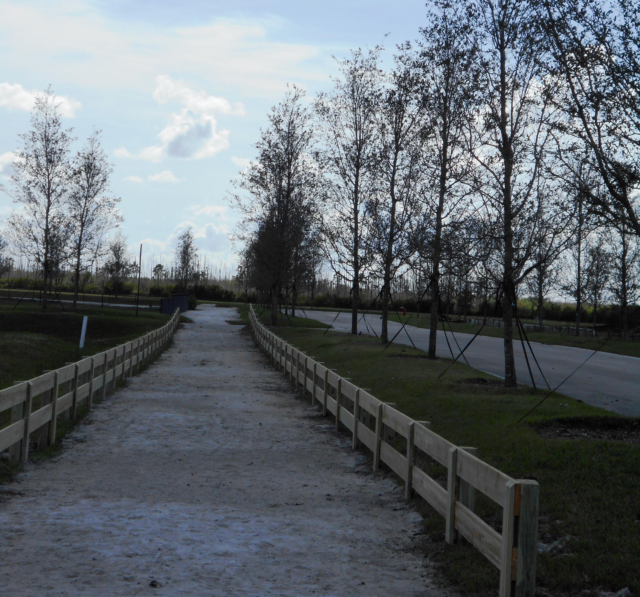 14740 Jumper Road Wellington, FL 33449 - Photo 4 of 7 street & bridle path