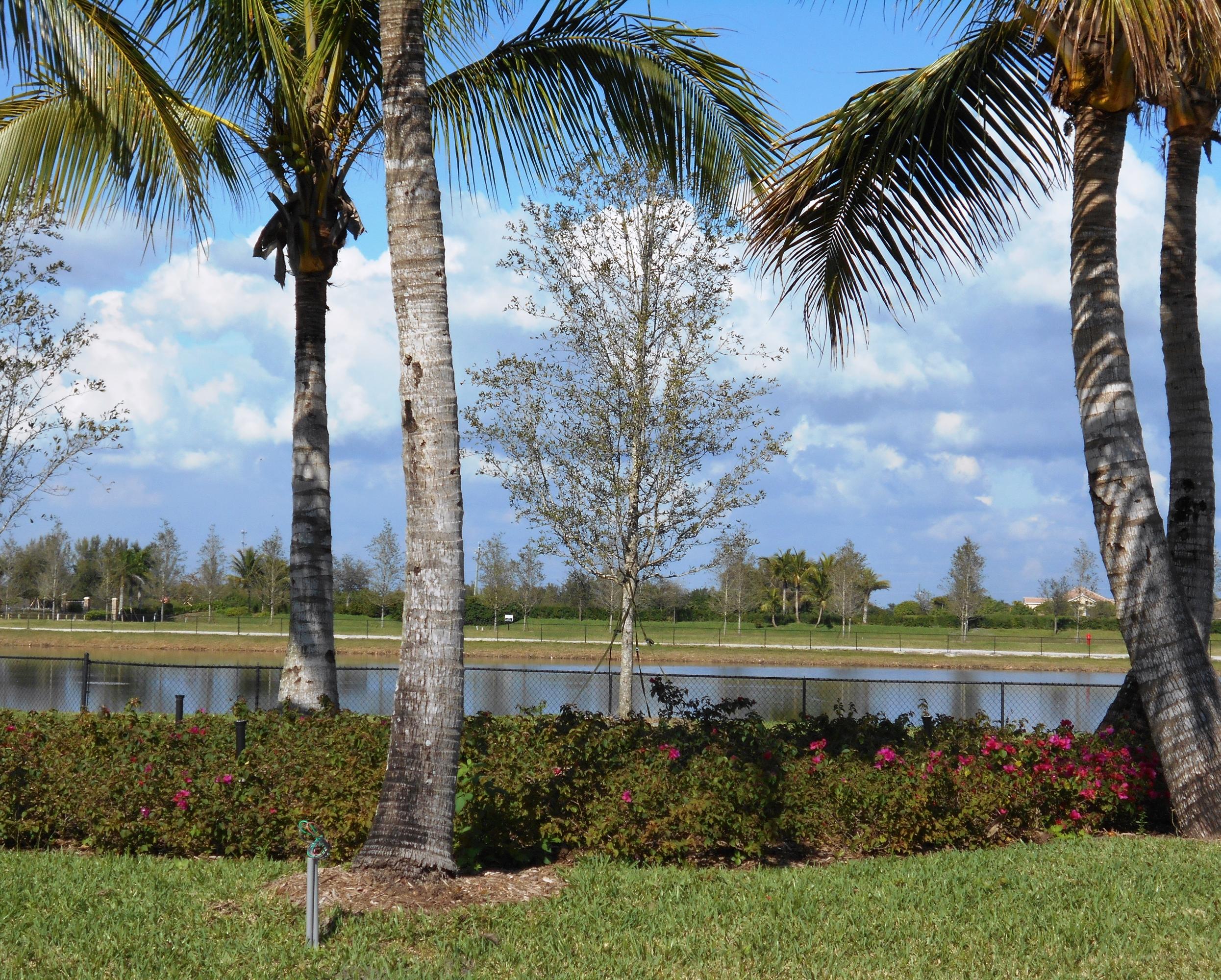 14740 Jumper Road Wellington, FL 33449 - Photo 5 of 7 lake view