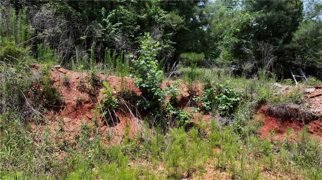 1980 Ridge Road Hartwell, GA 30643 - Photo 7 of 18