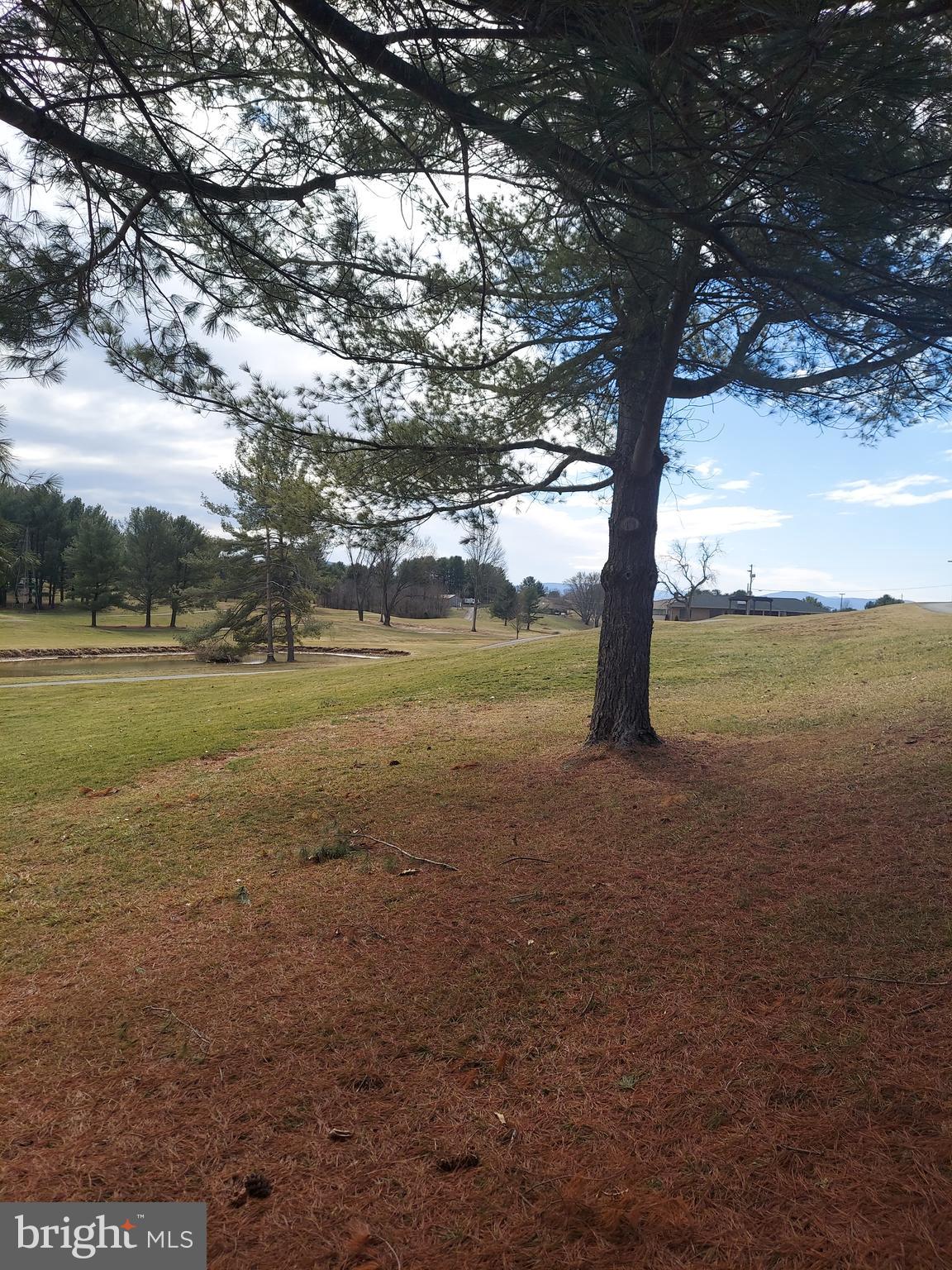 0 Bowling Green Road Front Royal, VA 22630 - Photo 18 of 30 a view of an ocean and a trees