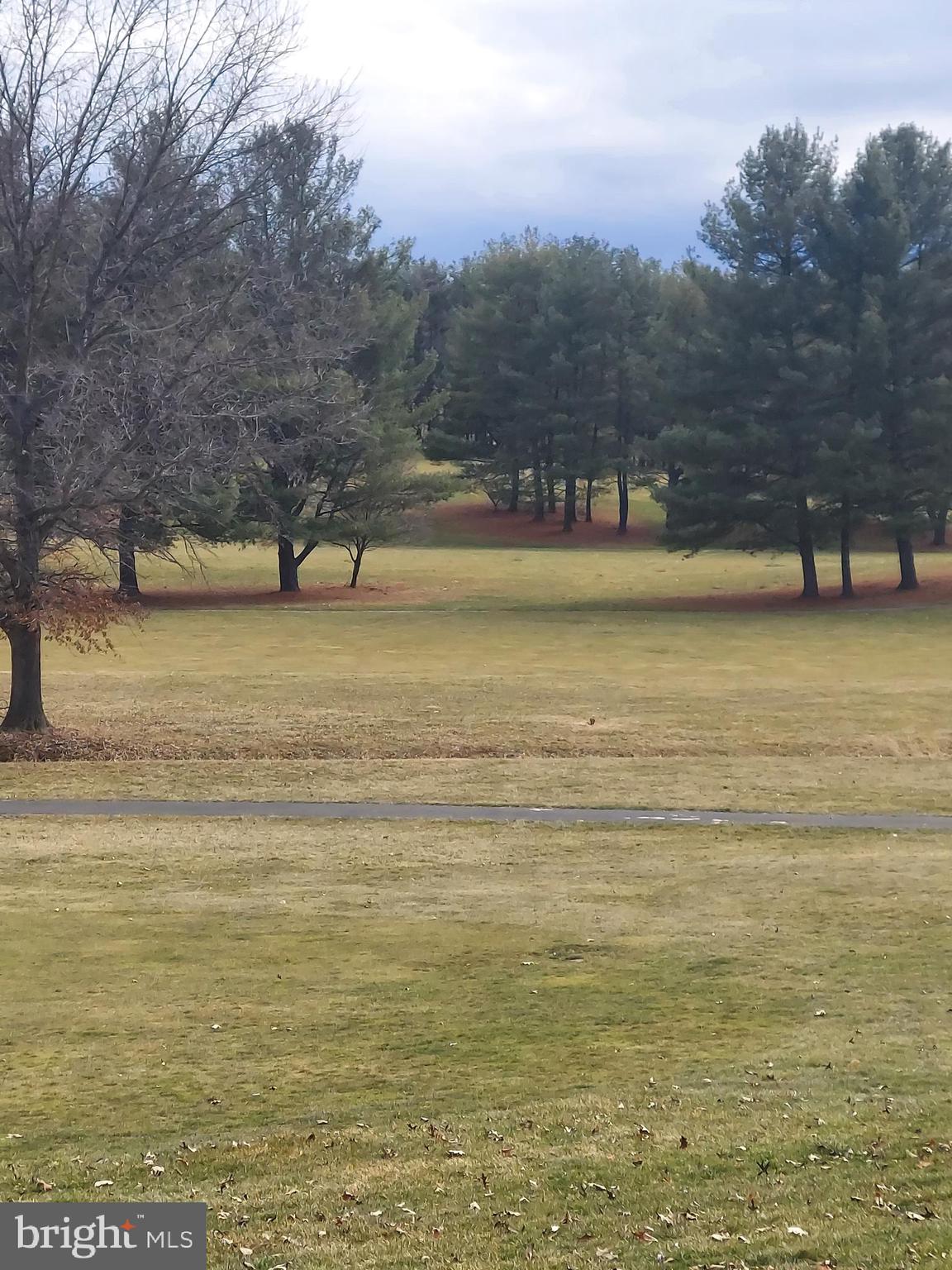 0 Bowling Green Road Front Royal, VA 22630 - Photo 23 of 30 a view of an ocean and beach