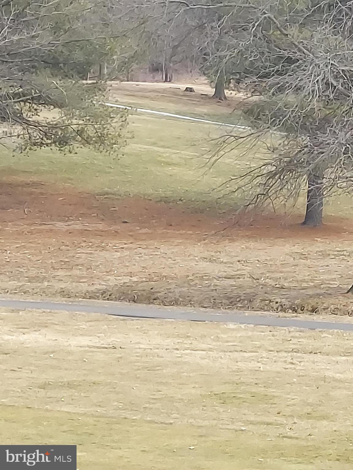 0 Bowling Green Road Front Royal, VA 22630 - Photo 26 of 30 a view of beach and ocean