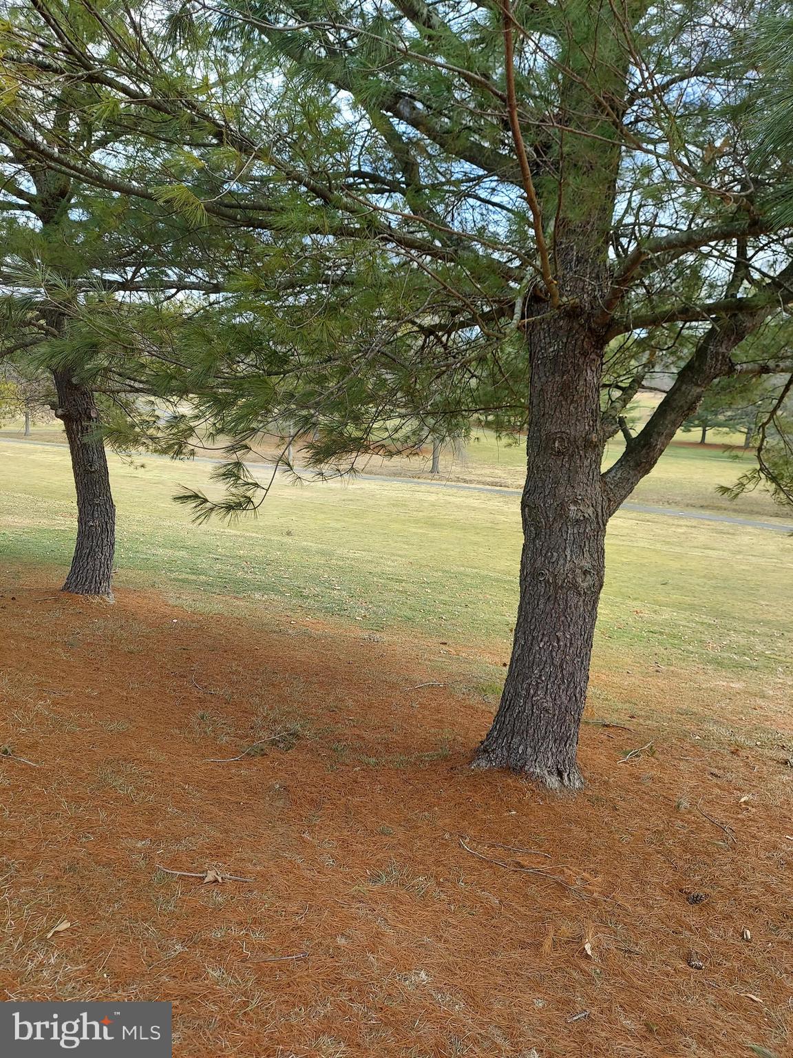 0 Bowling Green Road Front Royal, VA 22630 - Photo 28 of 30 a view of a yard with a tree