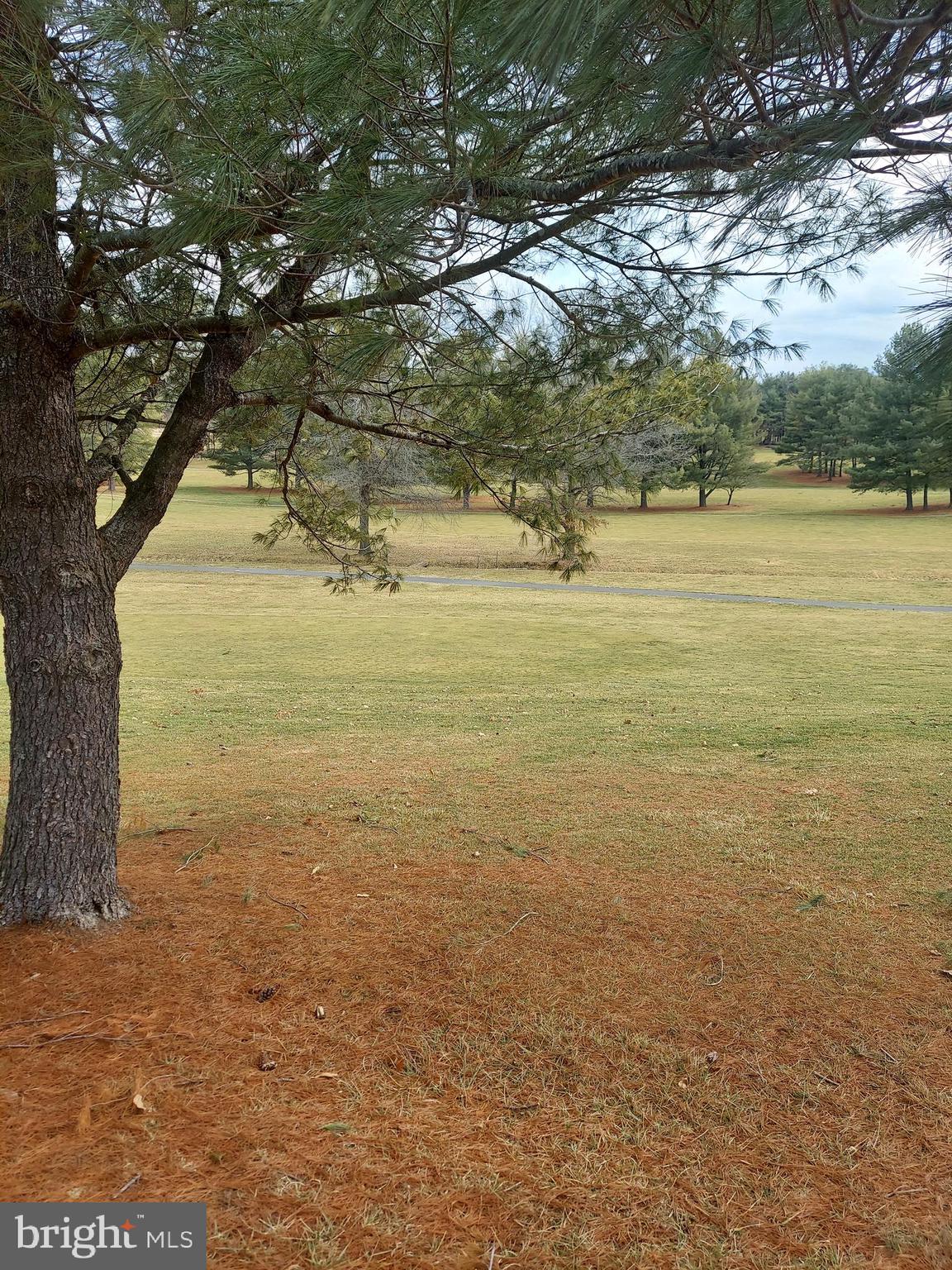 0 Bowling Green Road Front Royal, VA 22630 - Photo 29 of 30