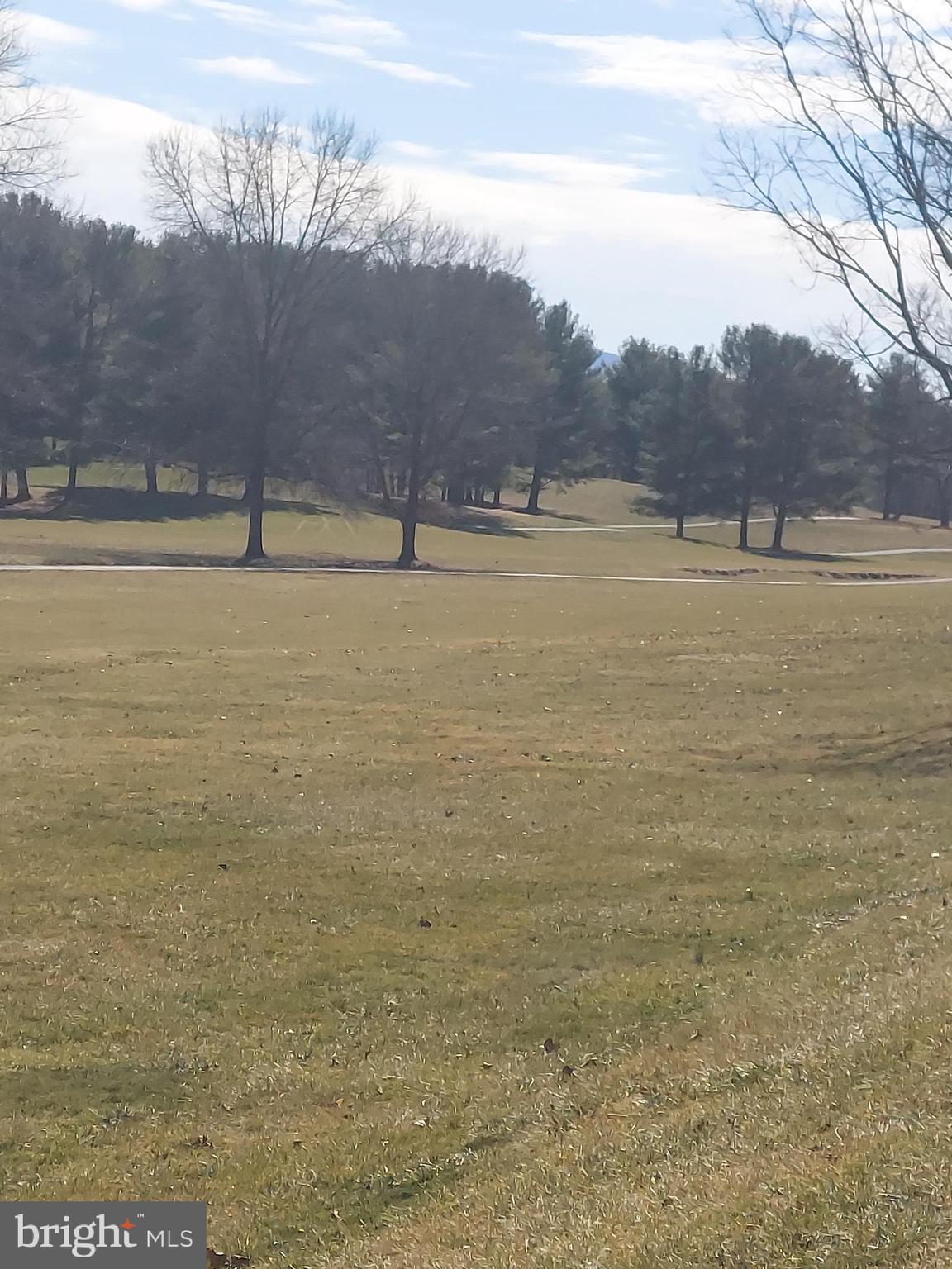 0 Bowling Green Road Front Royal, VA 22630 - Photo 3 of 30 a view of a lake with trees in the background