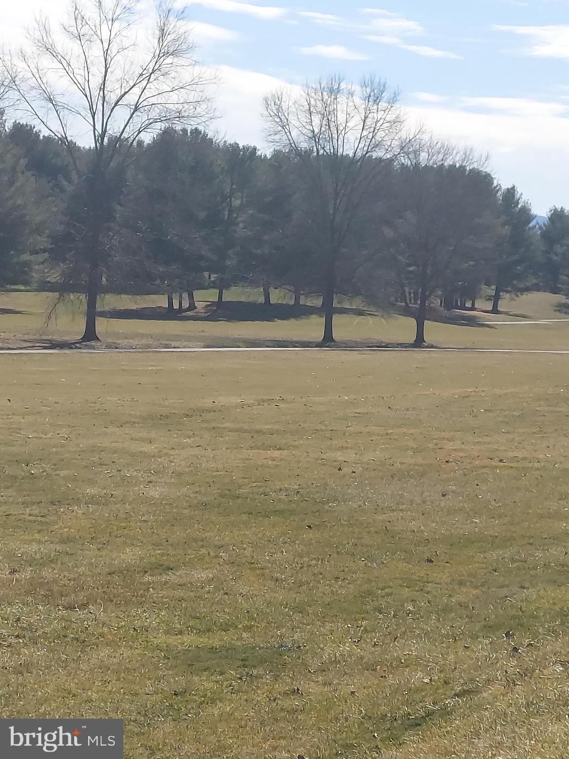 0 Bowling Green Road Front Royal, VA 22630 - Photo 4 of 30 a view of a lake view