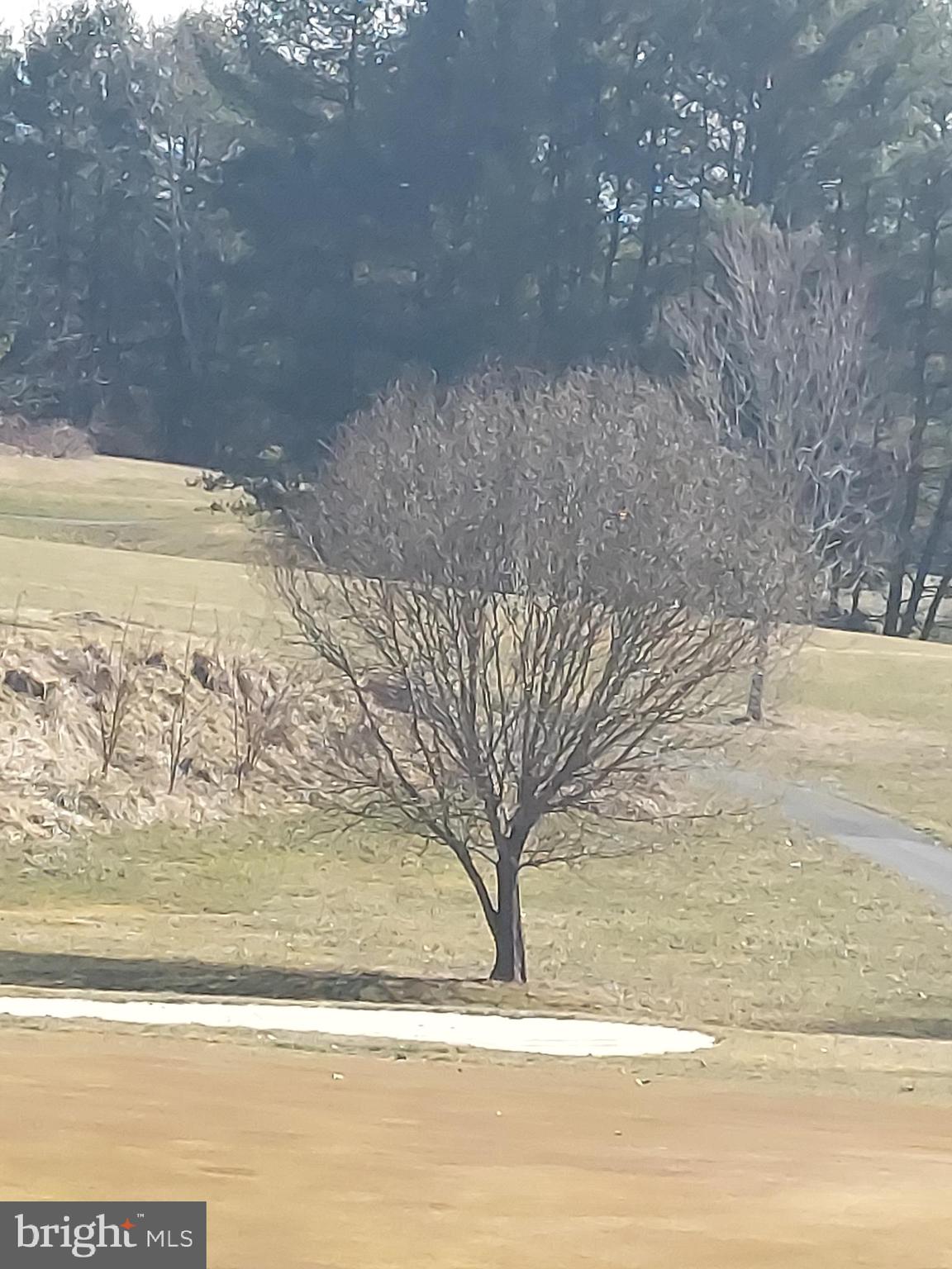 0 Bowling Green Road Front Royal, VA 22630 - Photo 5 of 30 a view of water heater and space in the background