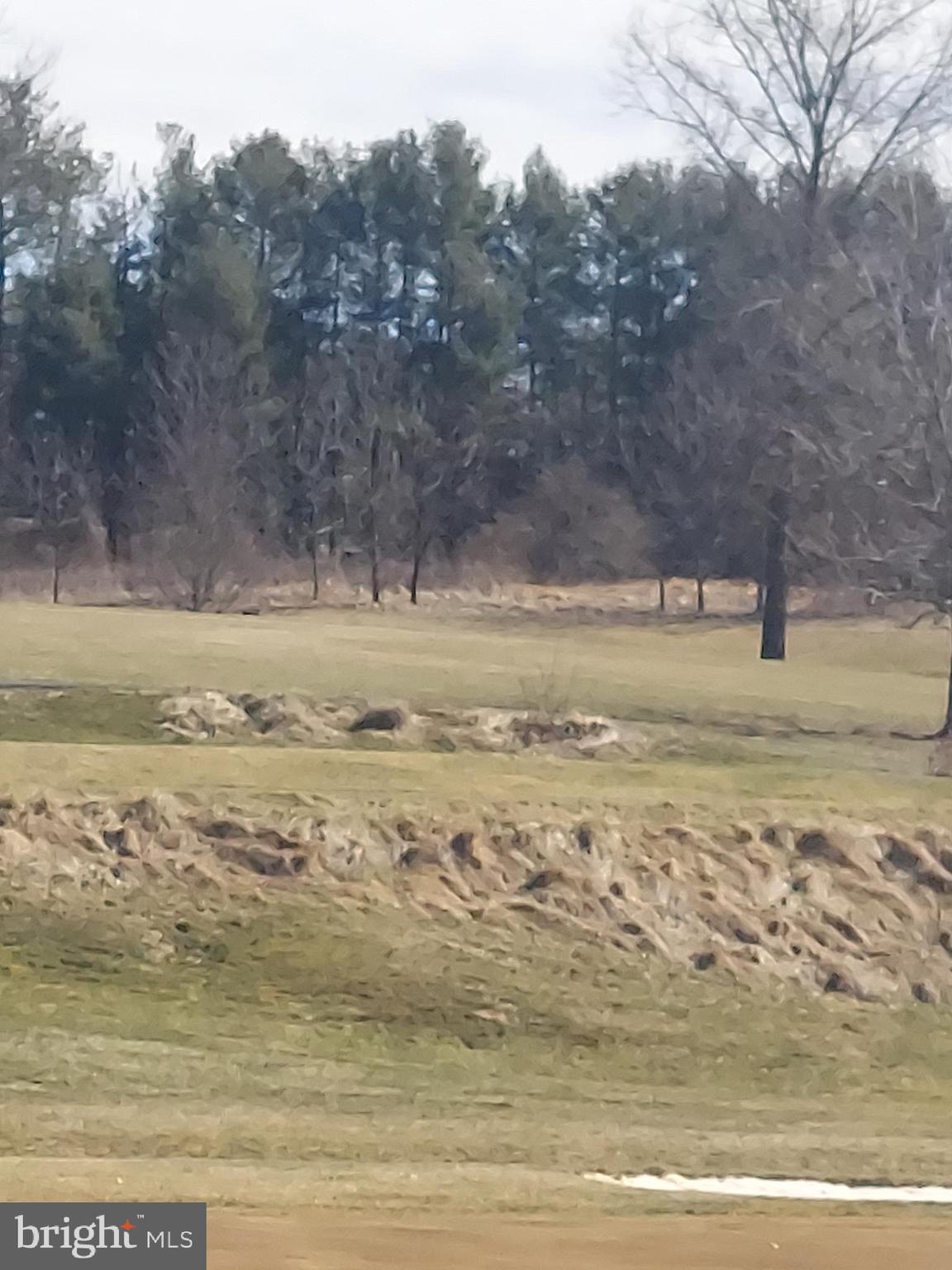 0 Bowling Green Road Front Royal, VA 22630 - Photo 6 of 30 a view of ocean view