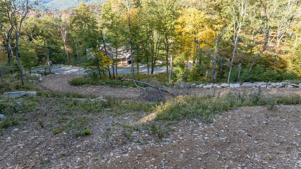77 Red Robin Road Banner Elk, NC 28604 - Photo 17 of 29 Gallery Image 17