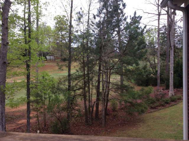 149 High Ridge Drive Macon, GA 31220 - Photo 29 of 32 Additional Photo