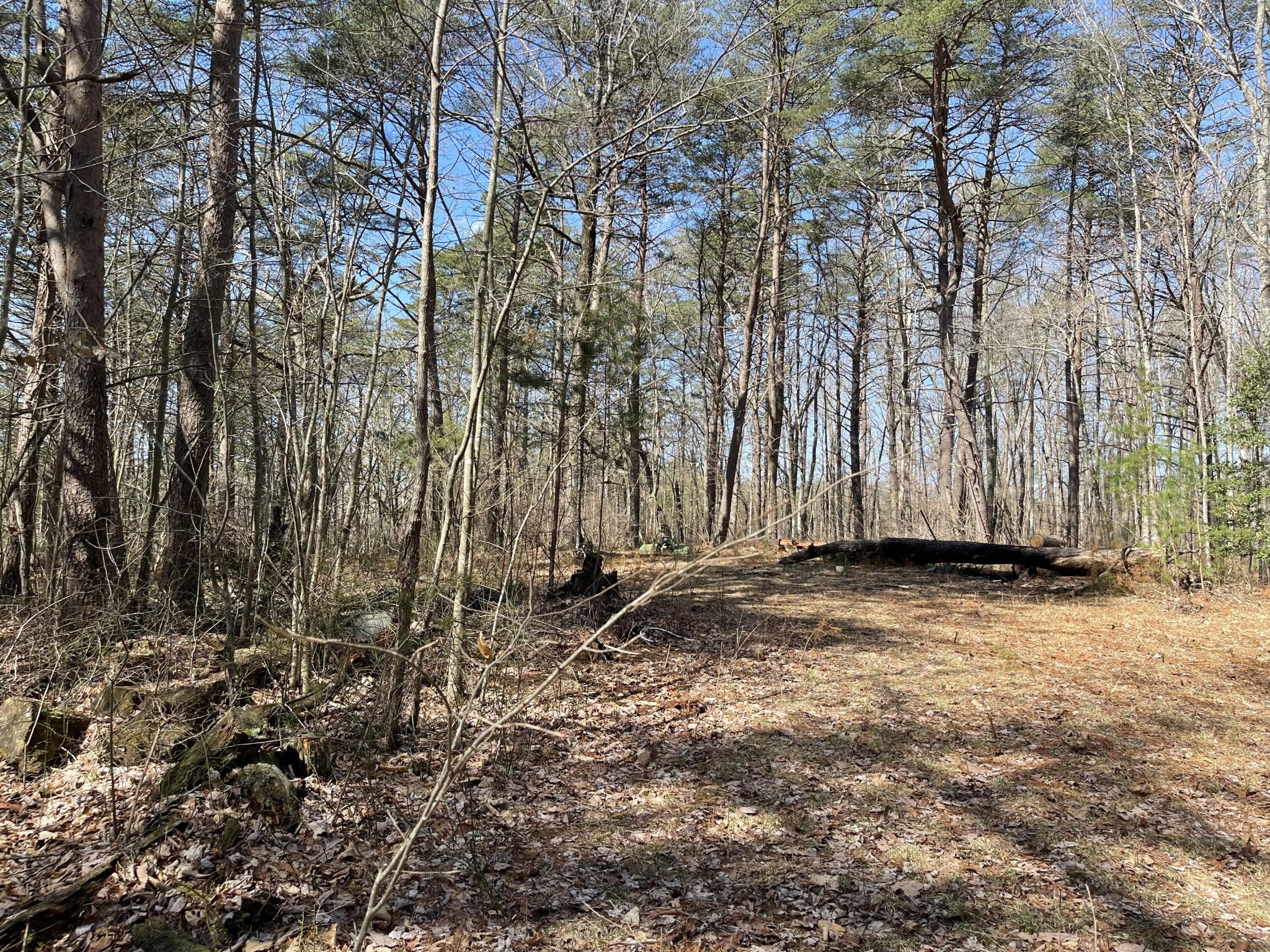 1979 Deerhead Road Dunlap, TN 37327 - Photo 12 of 16