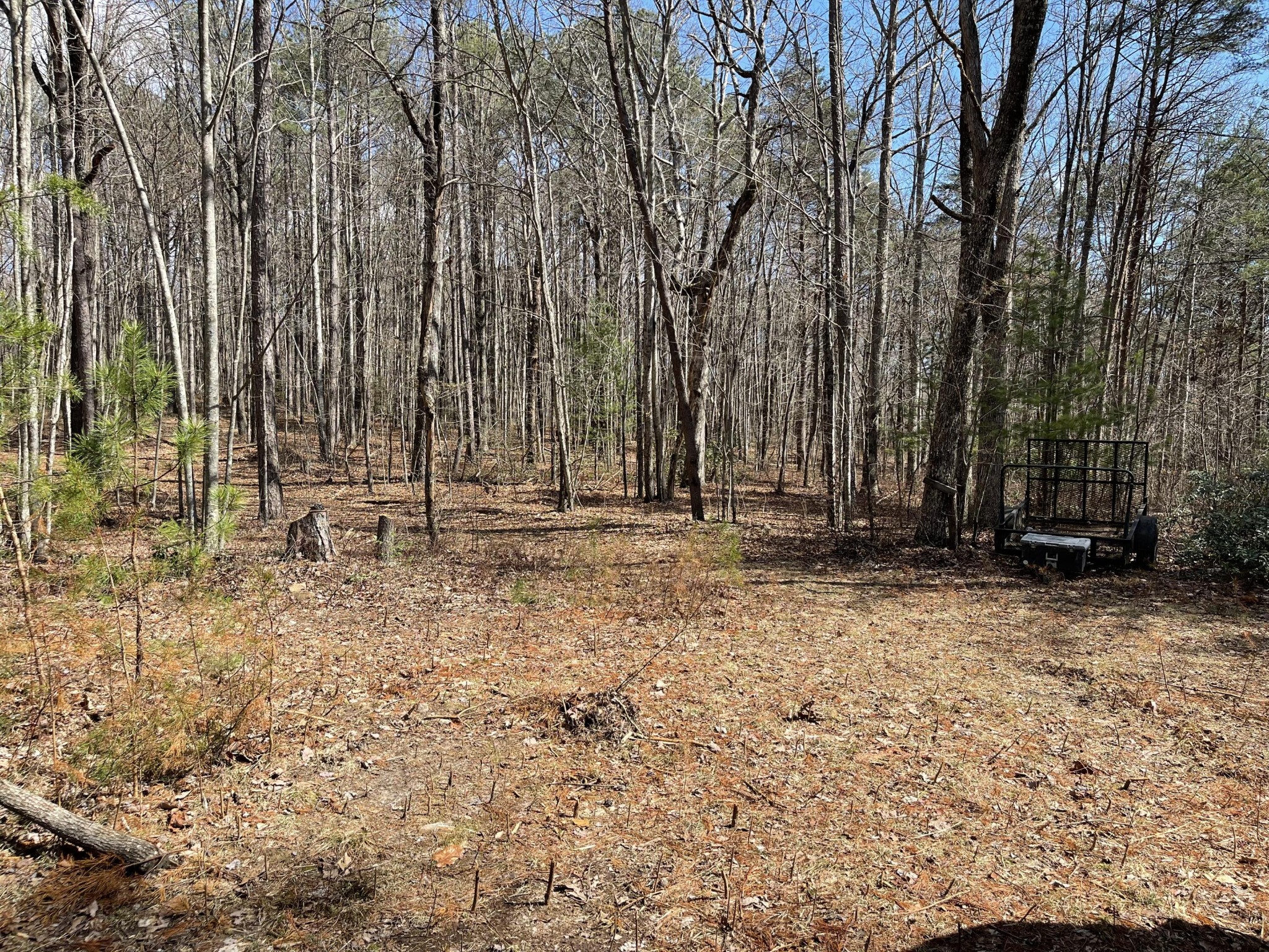 1979 Deerhead Road Dunlap, TN 37327 - Photo 16 of 16