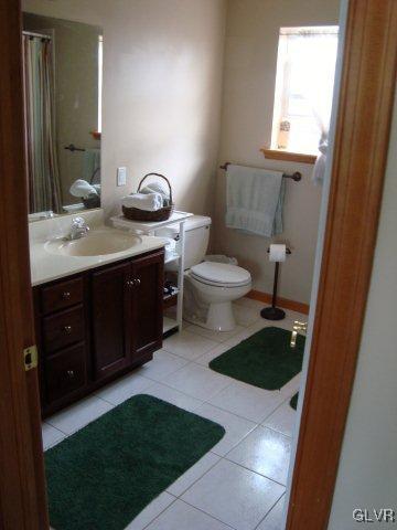 774 Bushkill Center Road Nazareth, PA 18064 - Photo 26 of 36 a bathroom with a toilet a sink and a mirror