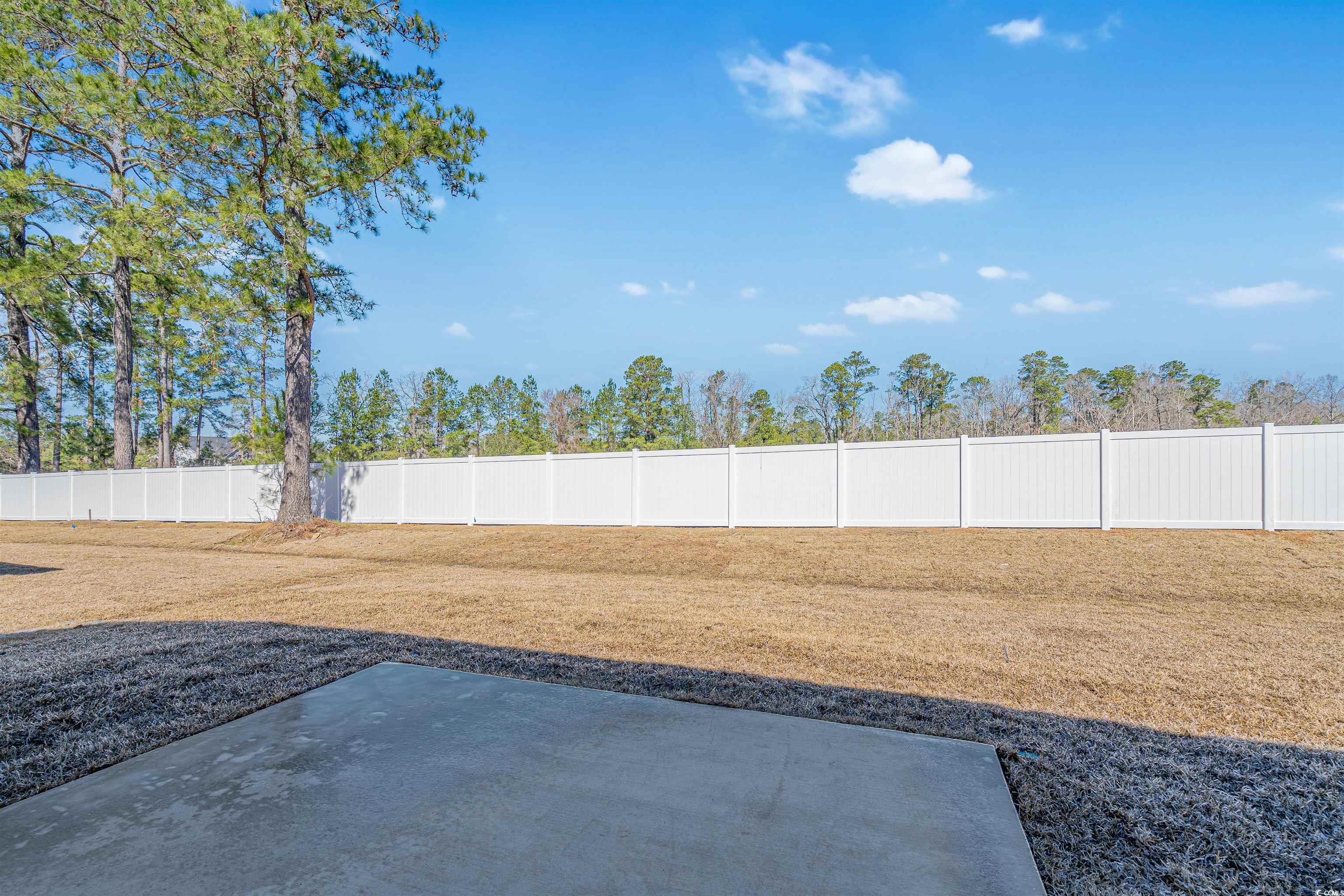 2473 Campton Loop Conway, SC 29527 - Photo 29 of 40