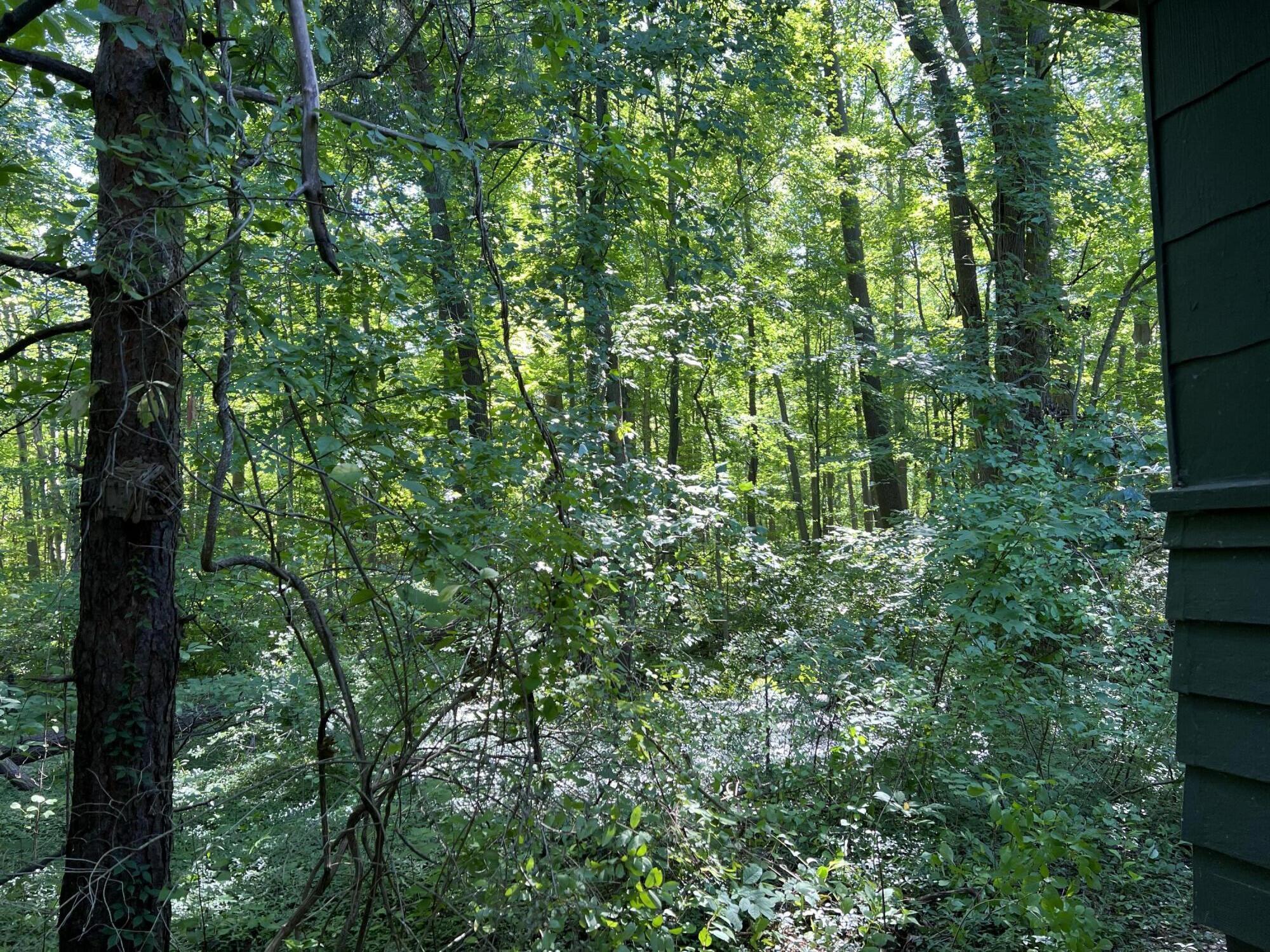 9102 Warren Woods Road Lakeside, MI 49116 - Photo 19 of 28 2D73A932-DC68-42CF-AA59-E059661819CB
