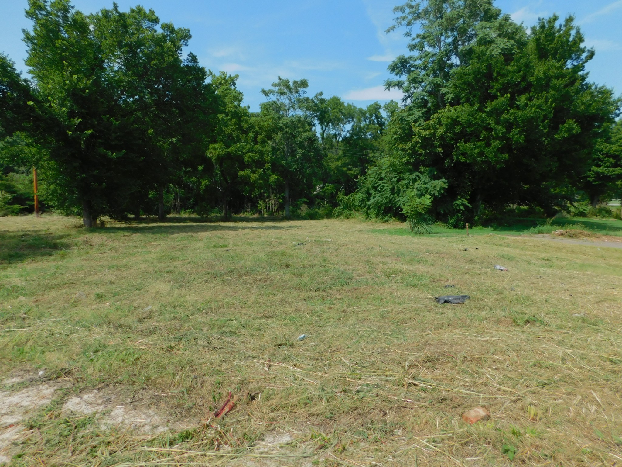 312 North Maple Avenue Waverly, TN 37185 - Photo 11 of 13