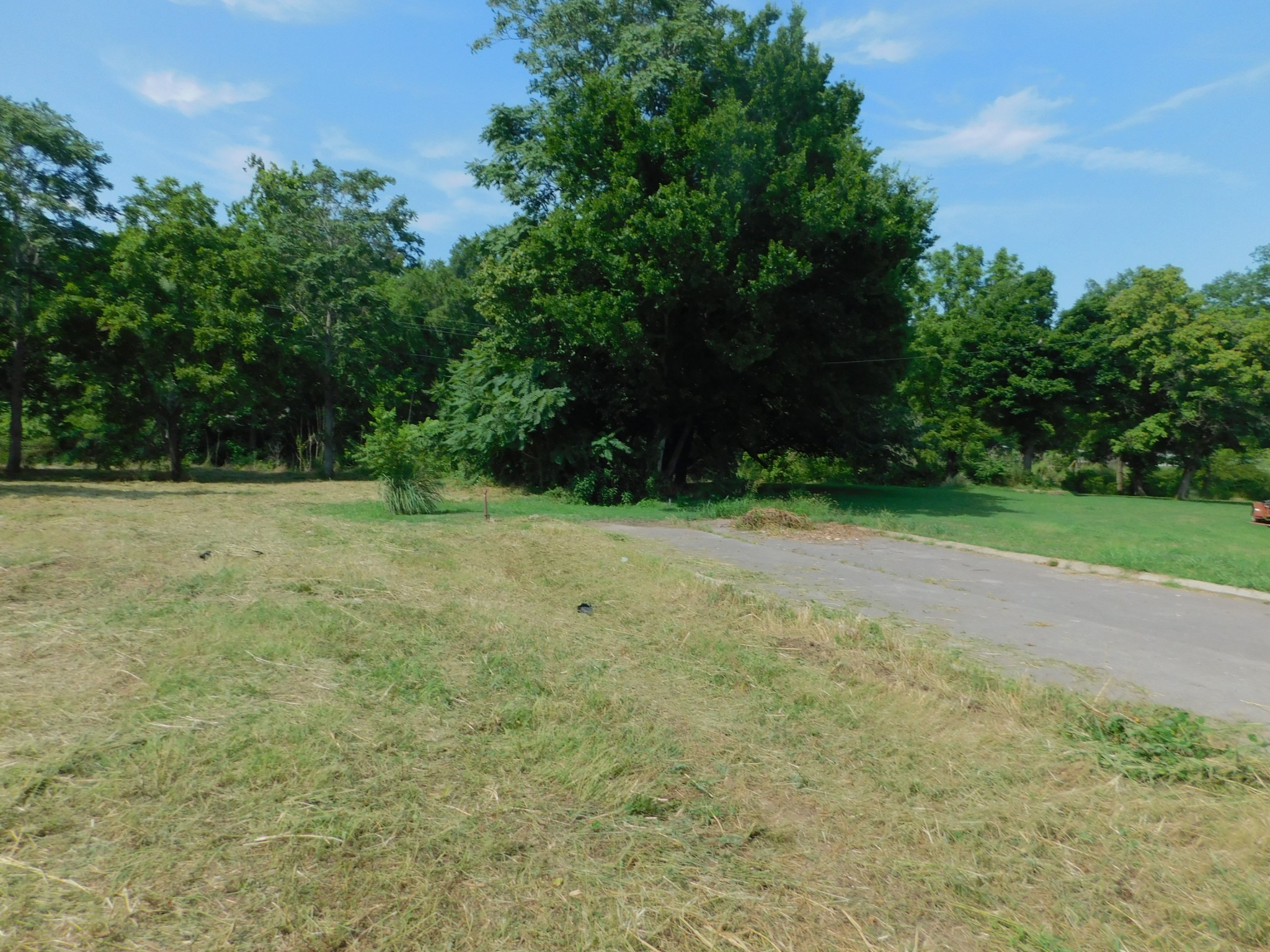 312 North Maple Avenue Waverly, TN 37185 - Photo 13 of 13