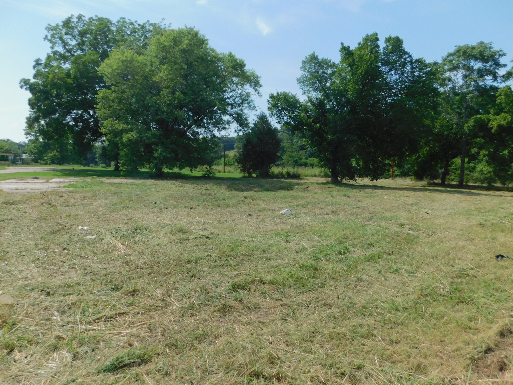 312 North Maple Avenue Waverly, TN 37185 - Photo 3 of 13