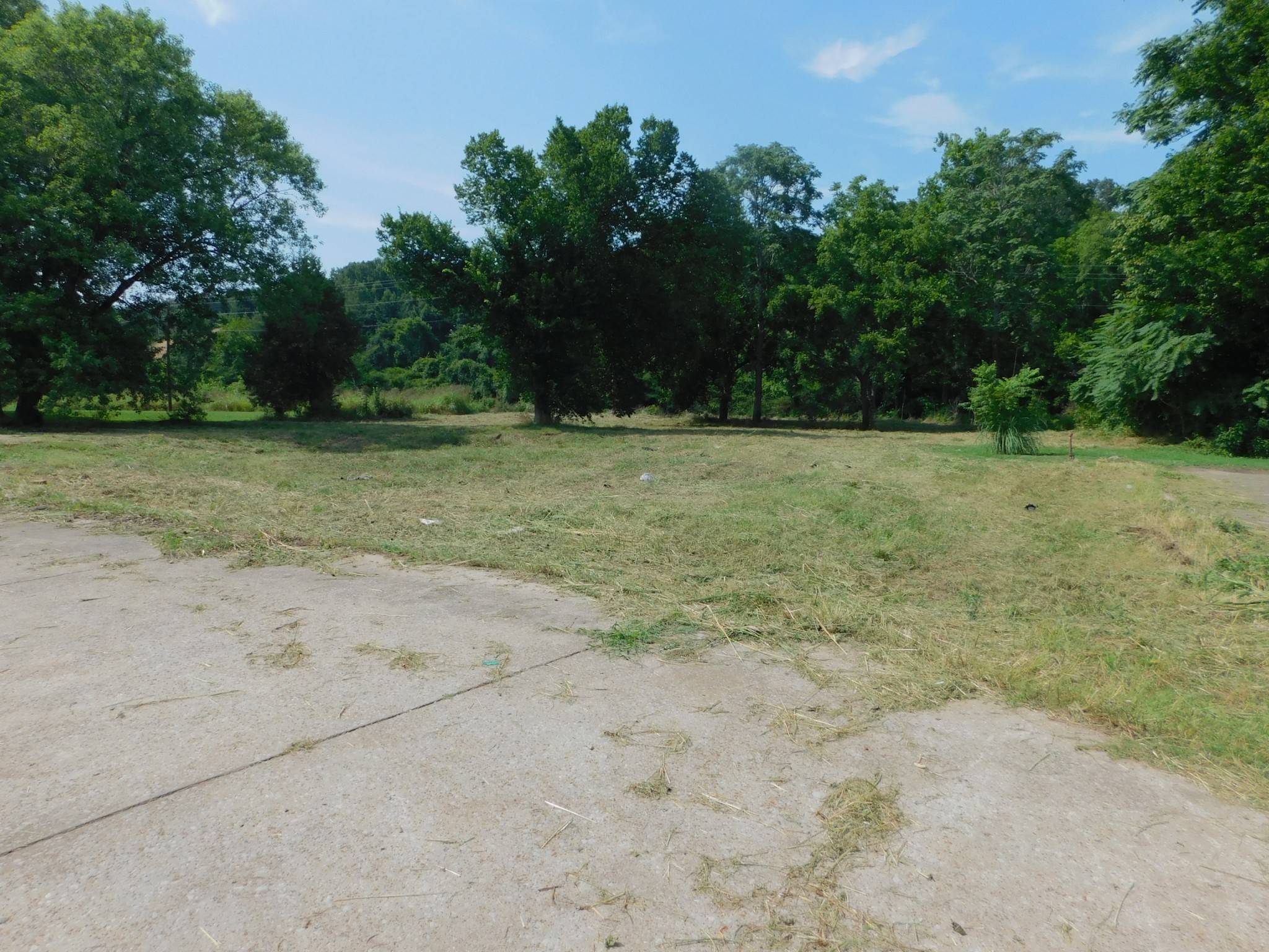 312 North Maple Avenue Waverly, TN 37185 - Photo 5 of 13