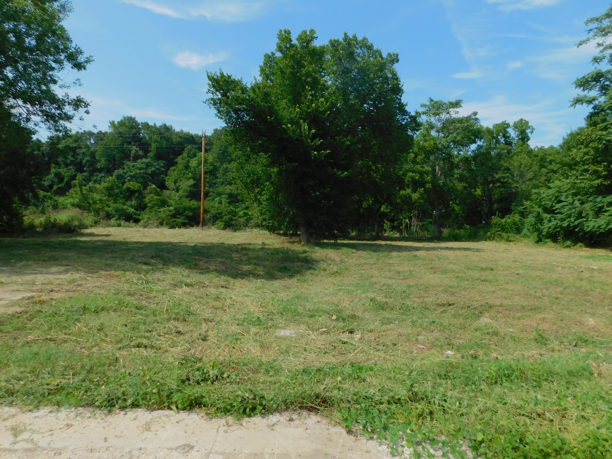 312 North Maple Avenue Waverly, TN 37185 - Photo 9 of 13