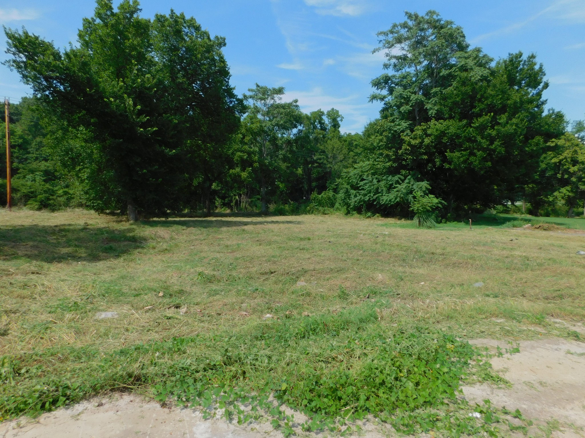 312 North Maple Avenue Waverly, TN 37185 - Photo 10 of 13