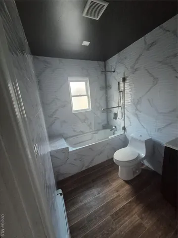 a bathroom with a toilet and a bathtub