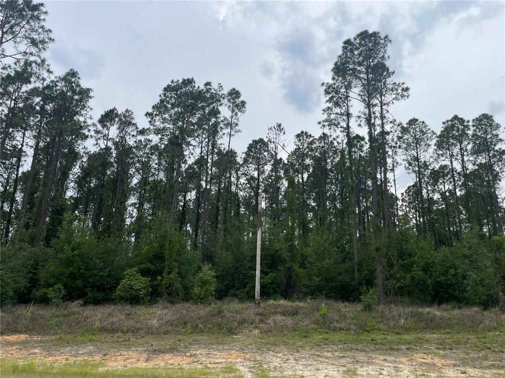 33740 Larkin Road Dade City, FL 33523 - Photo 27 of 36