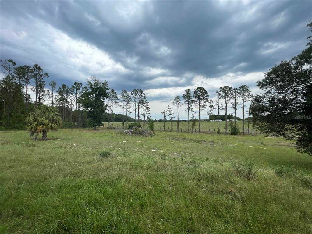 33740 Larkin Road Dade City, FL 33523 - Photo 33 of 36
