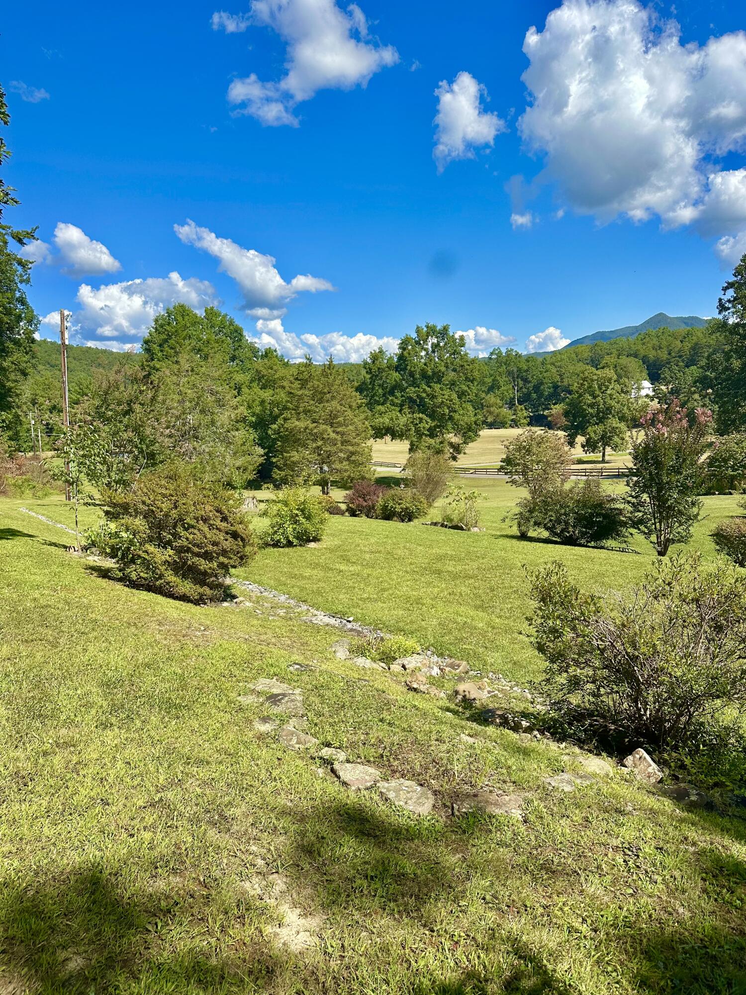 4801 Nicelytown Road Clifton Forge, VA 24422 - Photo 11 of 96 IMG_3913