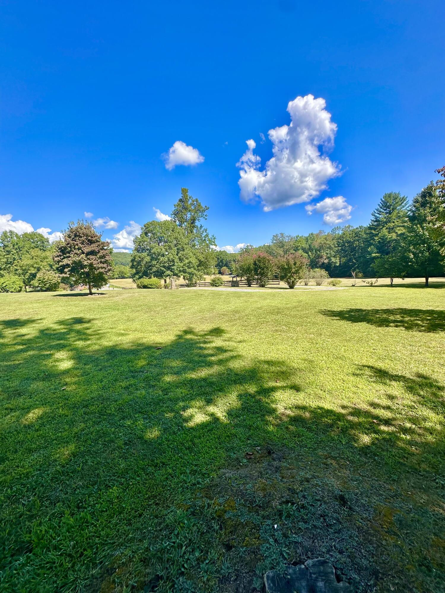 4801 Nicelytown Road Clifton Forge, VA 24422 - Photo 12 of 96 IMG_3899