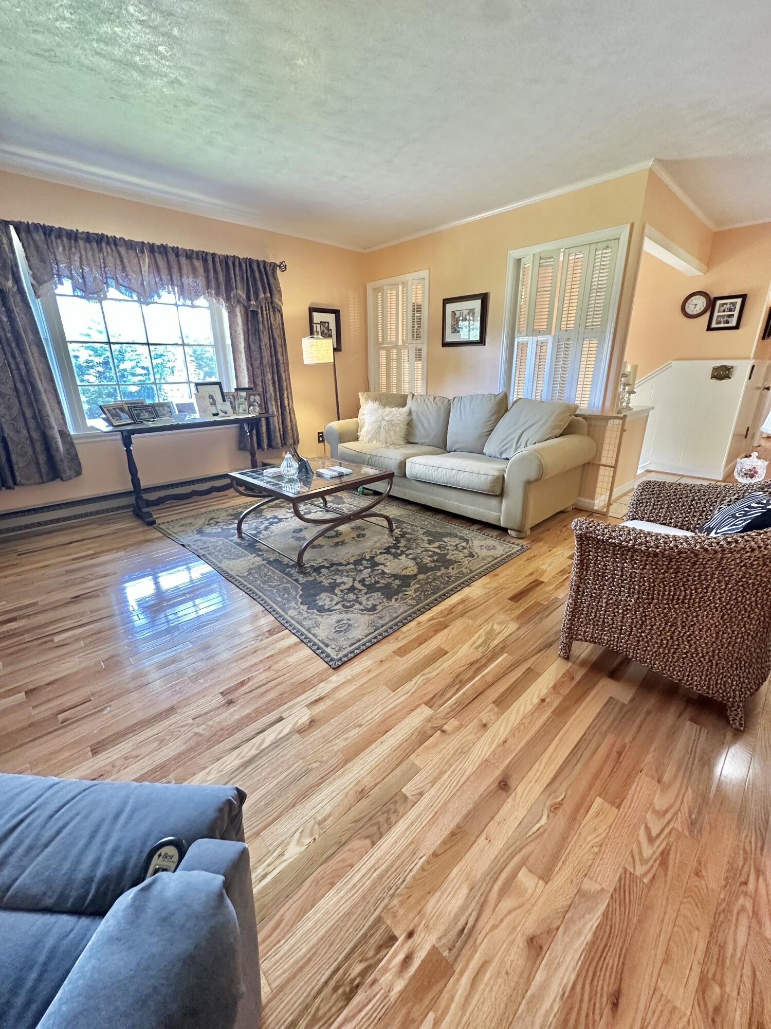 4801 Nicelytown Road Clifton Forge, VA 24422 - Photo 28 of 96 IMG_3962