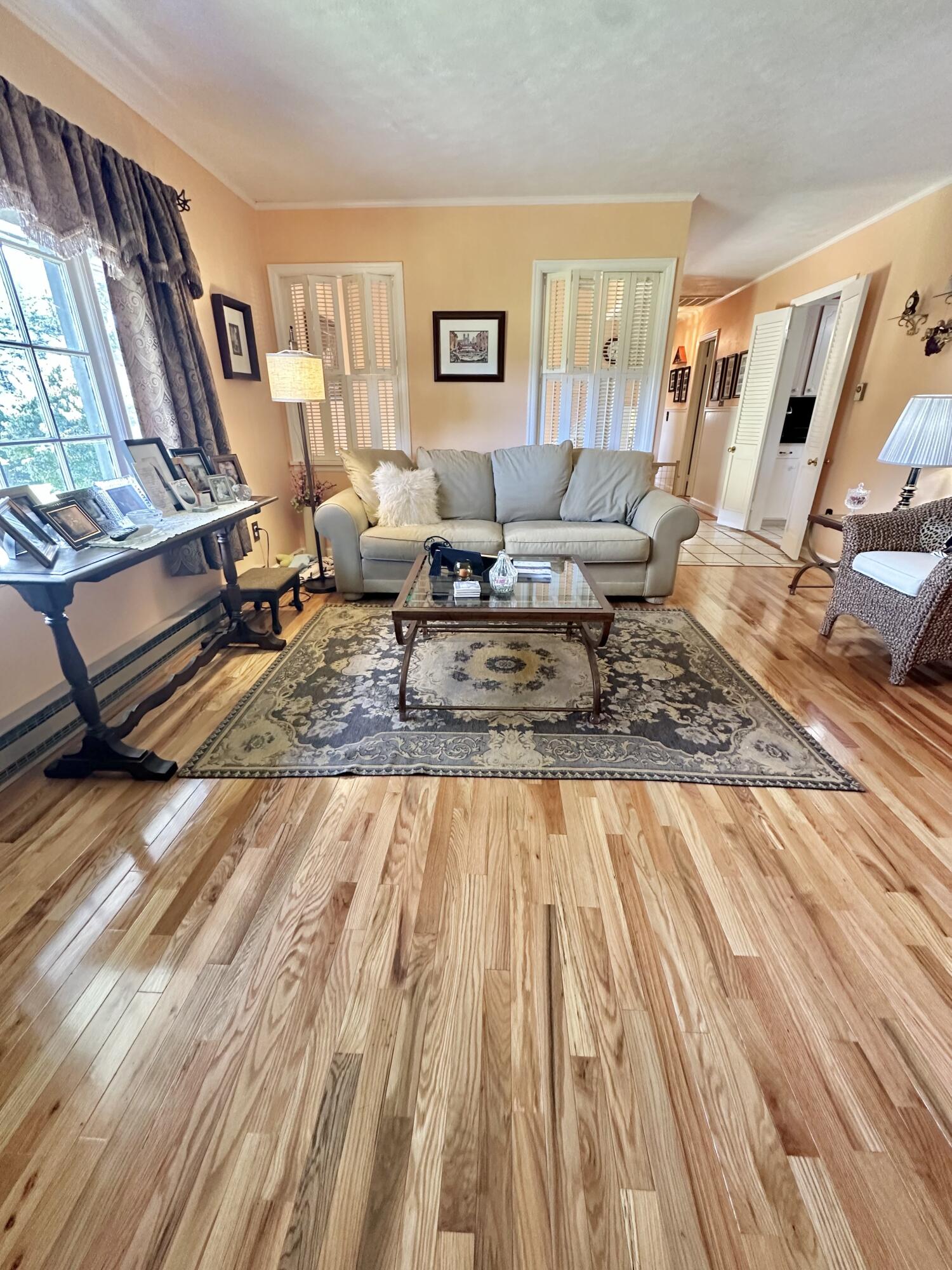 4801 Nicelytown Road Clifton Forge, VA 24422 - Photo 30 of 96 a living room with furniture and a wooden floor
