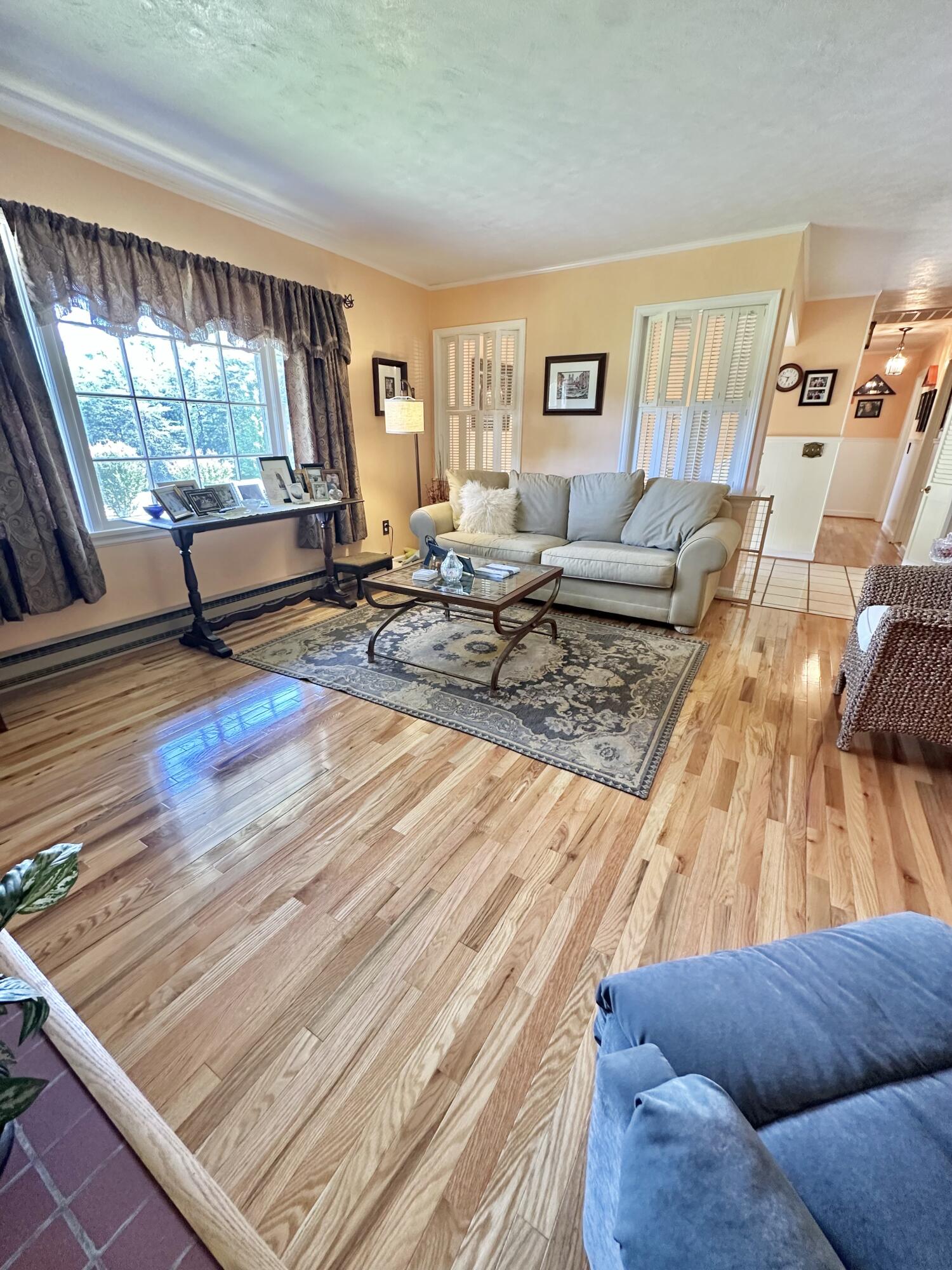 4801 Nicelytown Road Clifton Forge, VA 24422 - Photo 31 of 96 a living room with furniture and a wooden floor