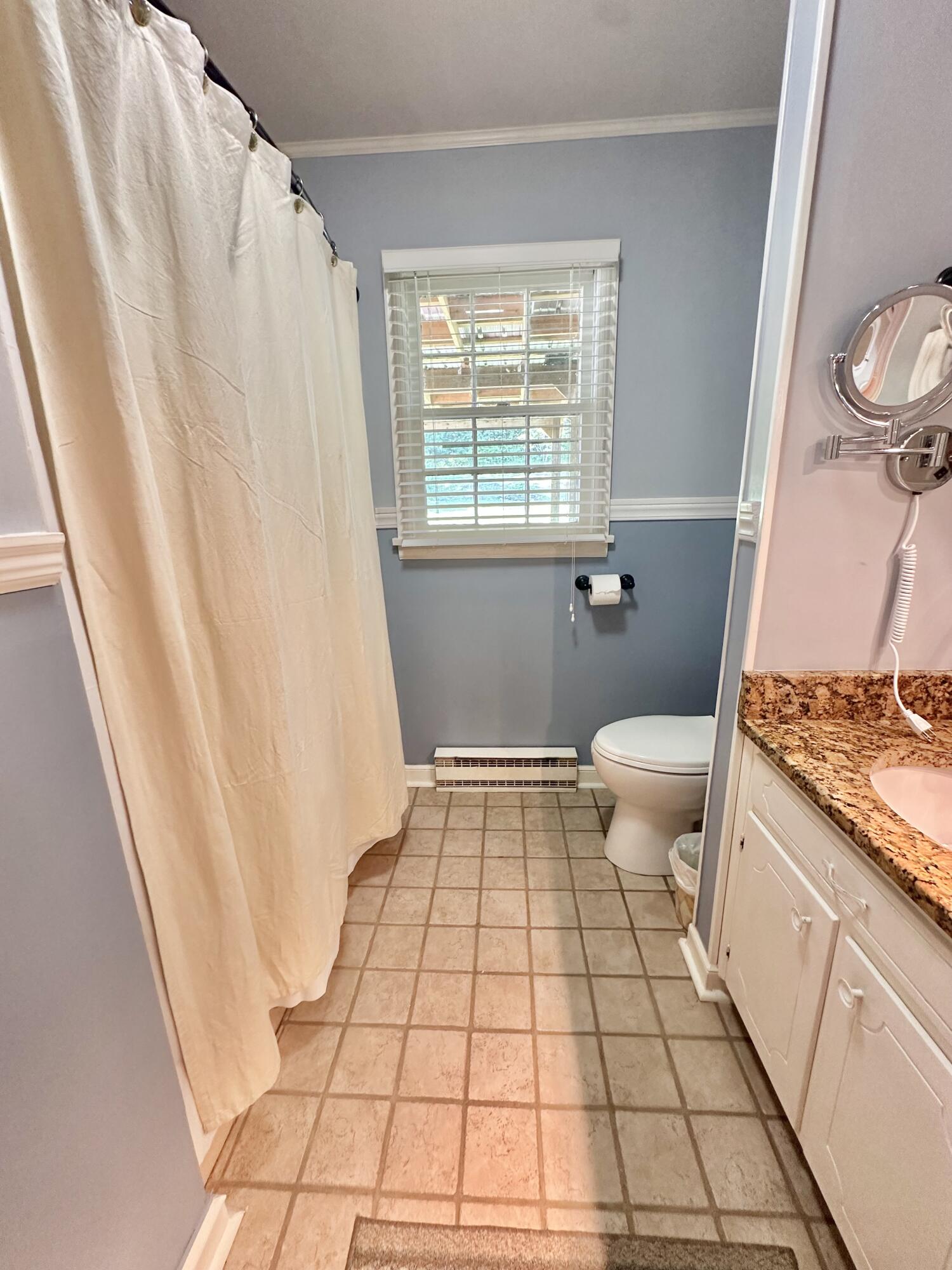 4801 Nicelytown Road Clifton Forge, VA 24422 - Photo 46 of 96 a bathroom with a sink a toilet a window and shower
