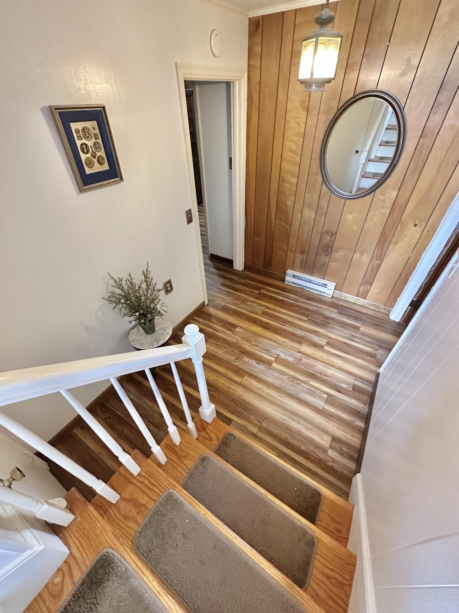 4801 Nicelytown Road Clifton Forge, VA 24422 - Photo 49 of 96 IMG_3996