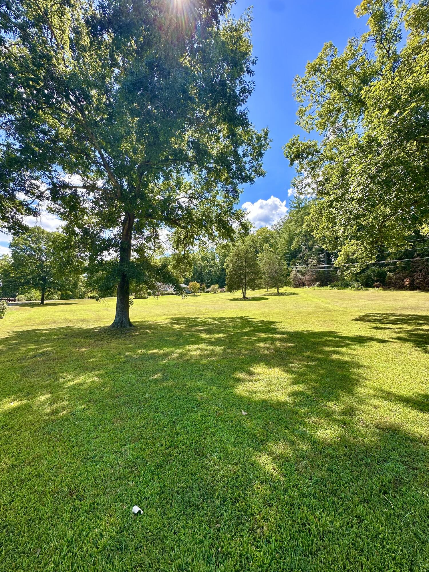 4801 Nicelytown Road Clifton Forge, VA 24422 - Photo 72 of 96 IMG_4057