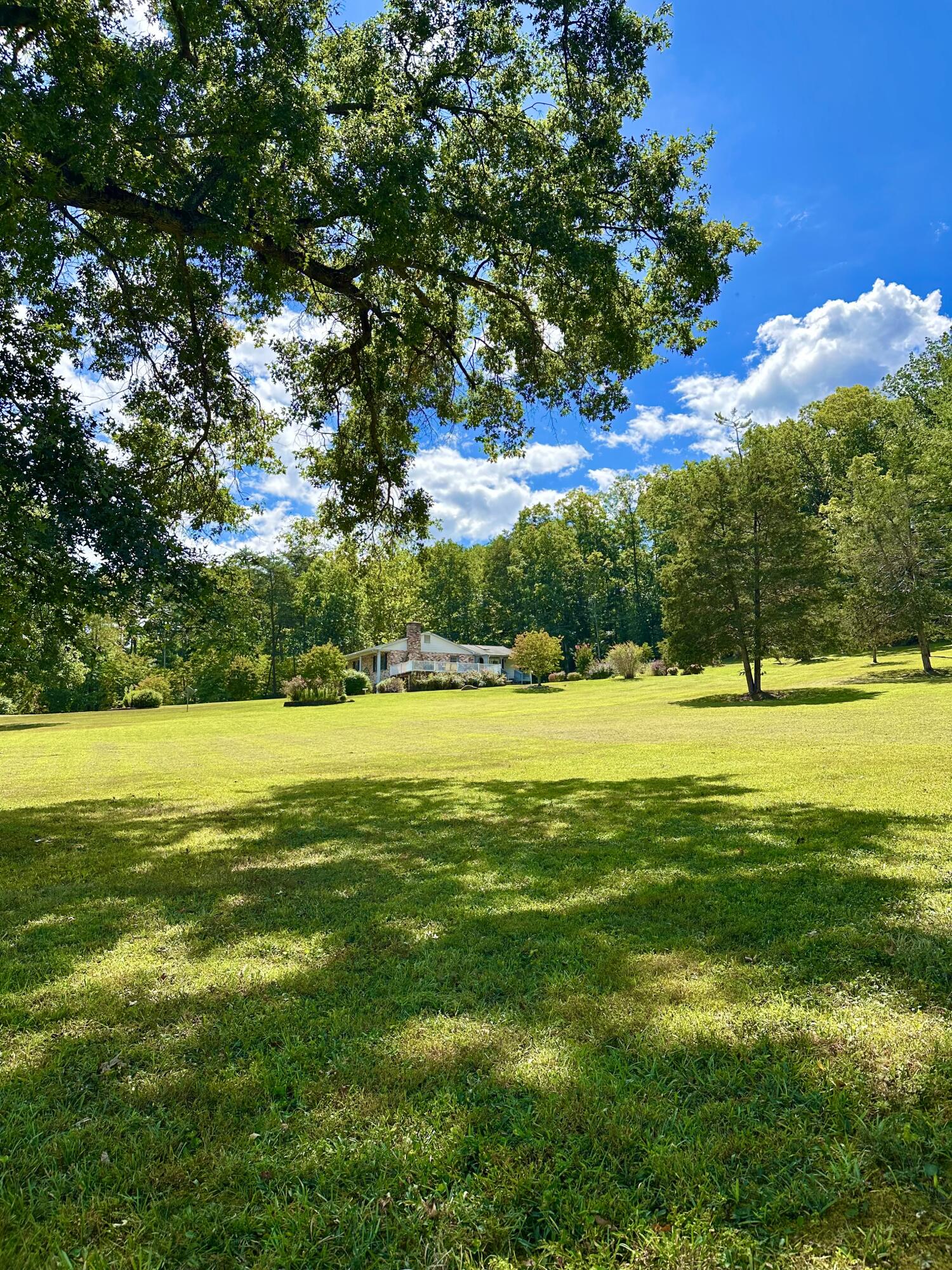 4801 Nicelytown Road Clifton Forge, VA 24422 - Photo 74 of 96 IMG_4055